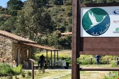 P2 T7 molaAULA
