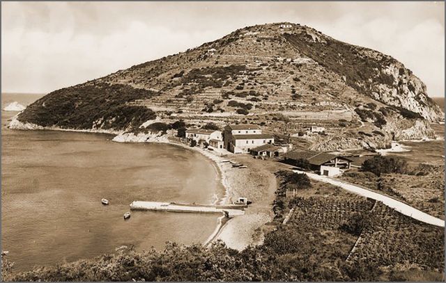 Enfola