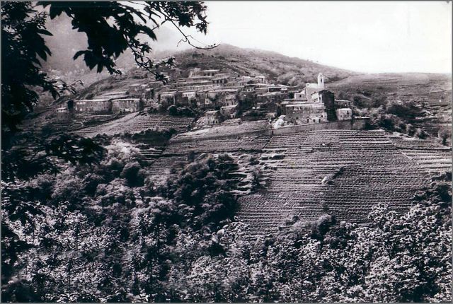 7- Elba Nord Ovest:  Marciana-Poggio