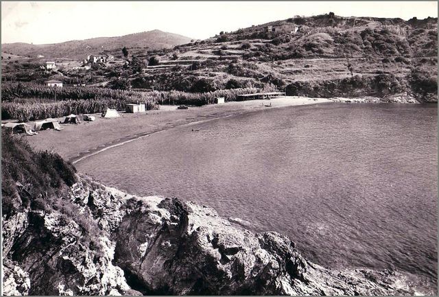 Reale