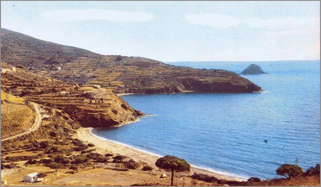FARINA_ALESSANDRO_FONDO_MUCCHIO_SELVAGGIO_FD_ADME_0001-morcone-1950