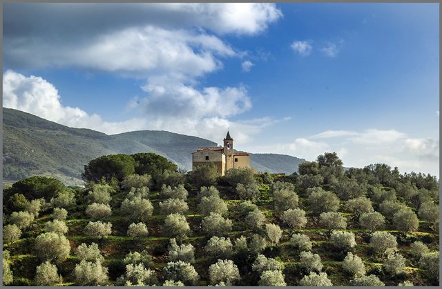 FARINA_ALESSANDRO_FONDO_MUCCHIO_SELVAGGIO_FD_ADME_0003-madonna neve colori
