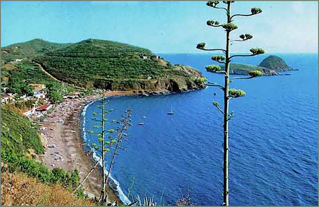 Innamorata